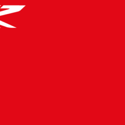 Backdrop 400x200cm RED WALL RR LOGO