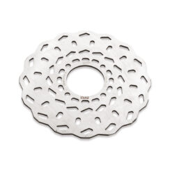 BRAKE DISK EVO